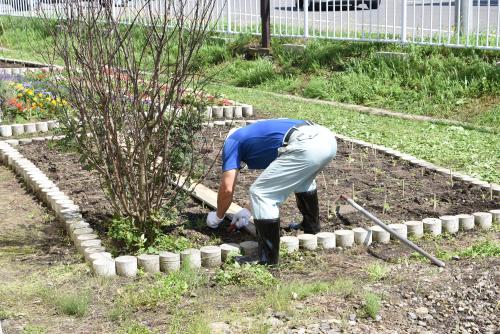 雑草取りをする公務補さん