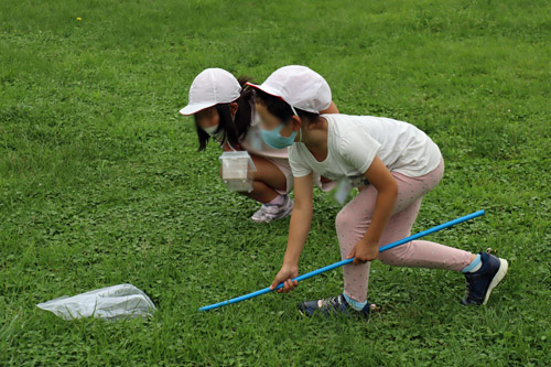 虫を取る子供たち