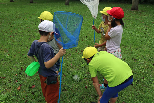 クモの巣に光る雨粒に見入る子供たち