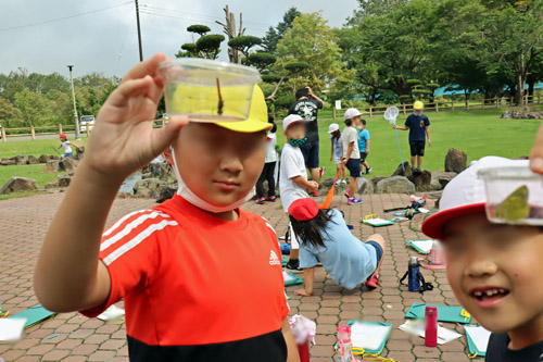 捕まえた虫を自慢げに見せる子供3