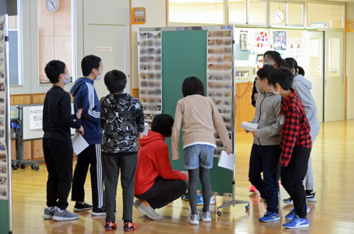 真剣に写真を選ぶ子供たち1