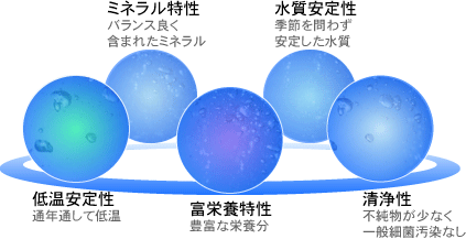 特徴と特性