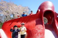 タコ公園で鬼ごっこをしたり、いろいろな遊具で遊んだりしました。