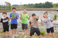 初めての田植えで新しい友達もできました。